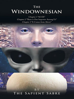 cover image of The Windownesian